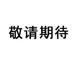 敬请期待